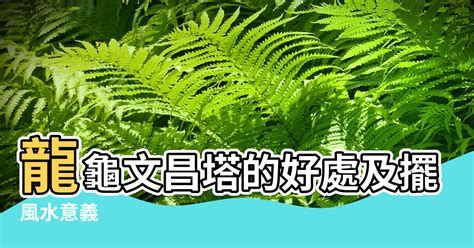 龍龜擺放臥室|龍龜的功效、風水意義、擺放方式、供養禁忌和注意事。